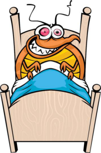 bedbugs in rebuilt mattresses